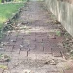 Sidewalk Loose Brick