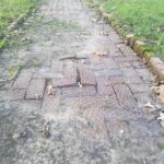 Sidewalk Loose Brick