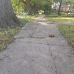 Sidewalk Street Tree Obstruction