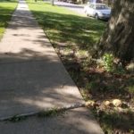 Sidewalk Street Tree Obstruction