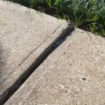 Sidewalk Vertical Separation