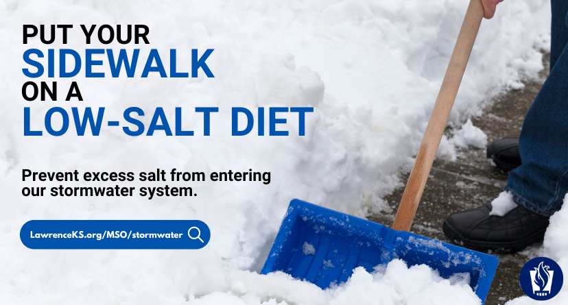 A picture of someone shoveling snow with the text "put your sidewalk on a low salt diet"